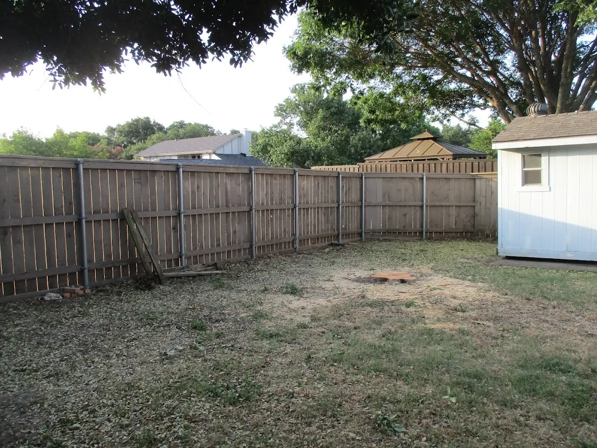 Cleared yard after professional tree removal in Bowmansville