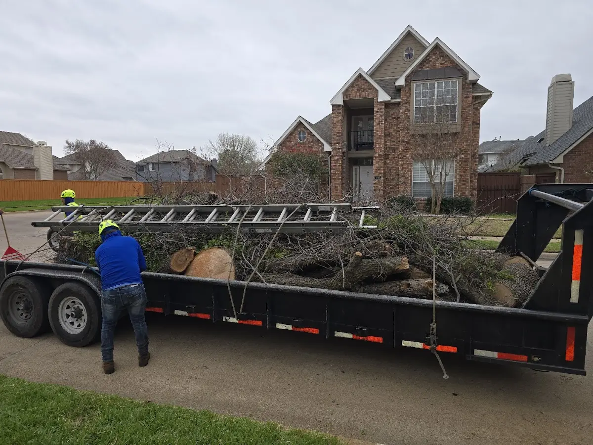 Expert Tree Fertilization with proper safety equipment in Bowmansville